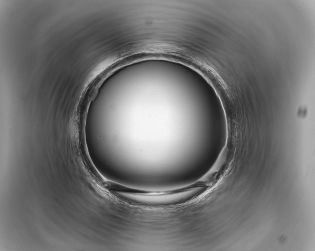 X0000099581114200805161228