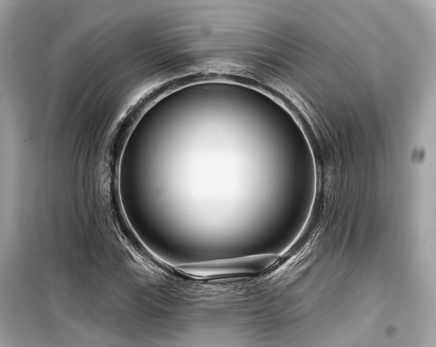 X0000099581115200805161228