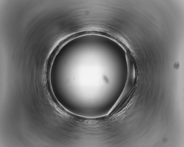 X0000099581116200805161228