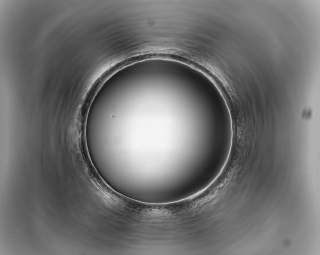 X0000099581119200805161229