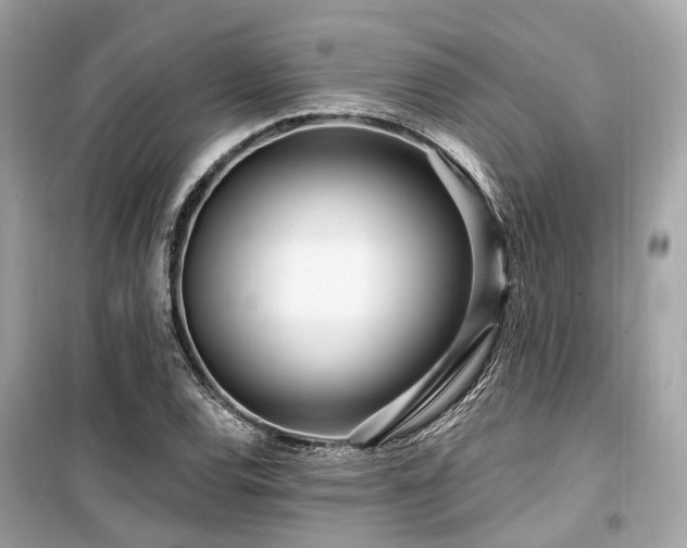 X0000099581120200805161229