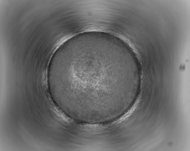 X0000099581121200805161229