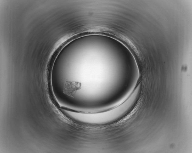 X0000099581122200805161229