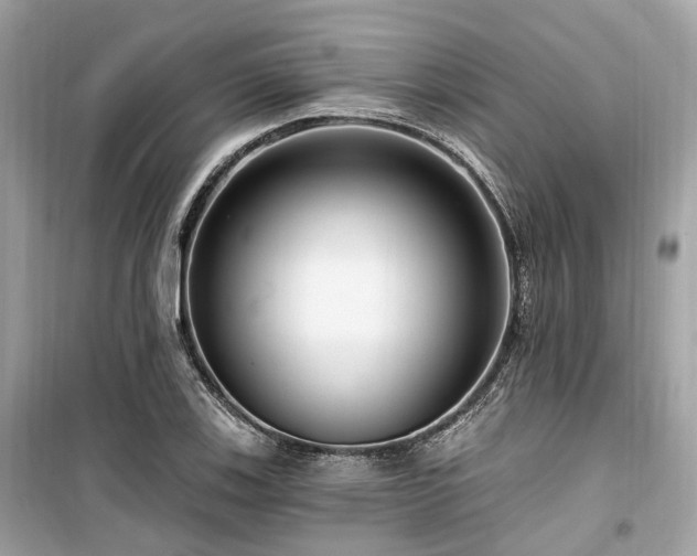 X0000099581123200805161229