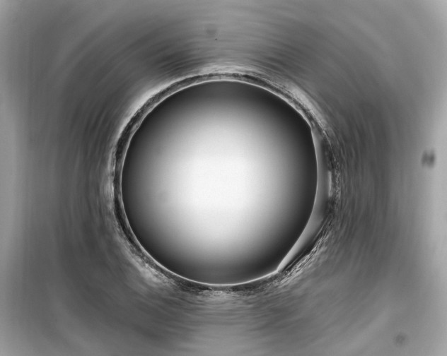 X0000099581124200805161229