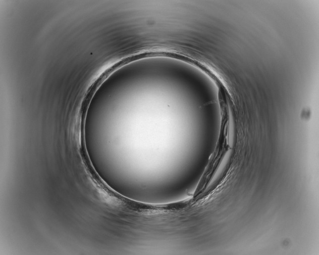 X0000099581127200805161229