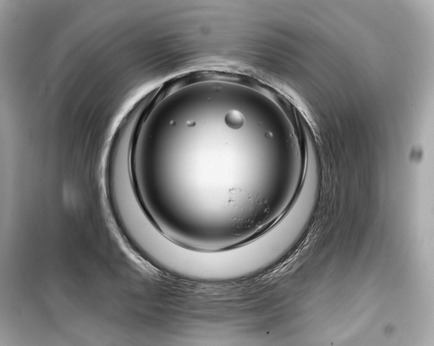 X0000099581128200805161229
