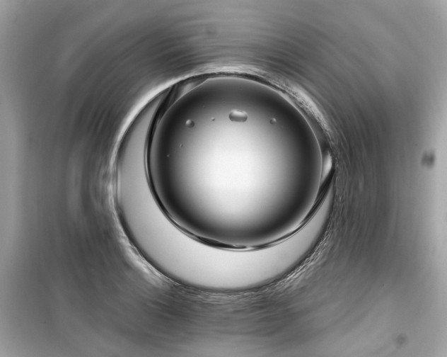 X0000099581132200805161229