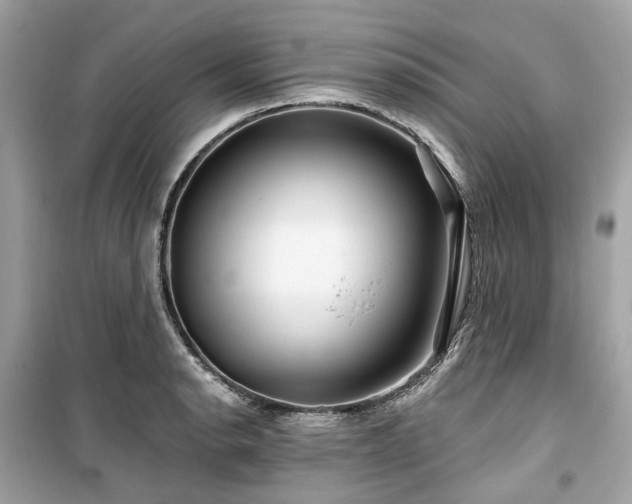 X0000099581134200805161229