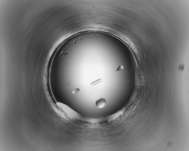 X0000099581136200805161229
