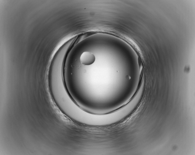 X0000099581138200805161229