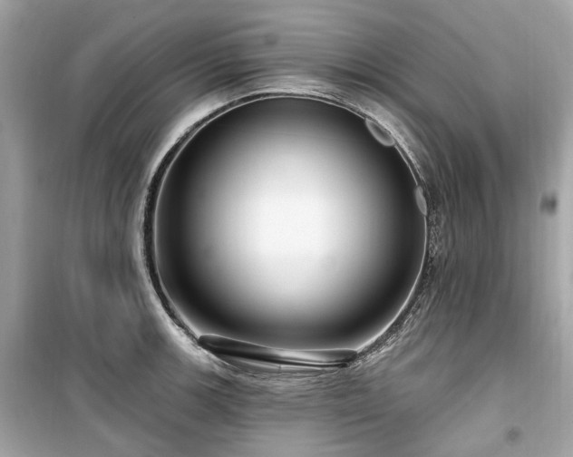 X0000099581139200805161229