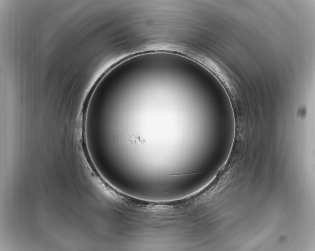 X0000099581140200805161229