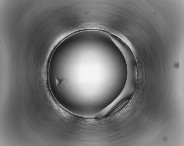 X0000099581144200805161229