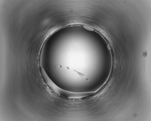 X0000099581145200805161229