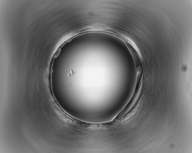 X0000099581146200805161229