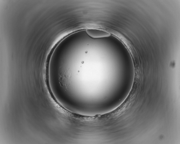X0000099581147200805161229