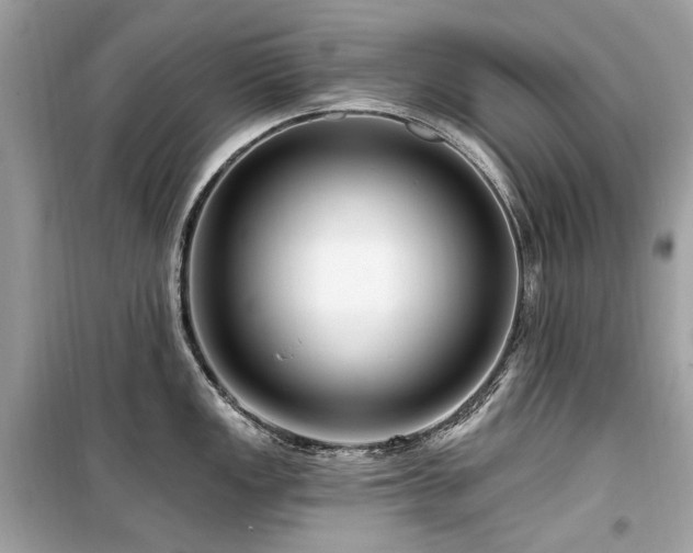 X0000099581149200805161229