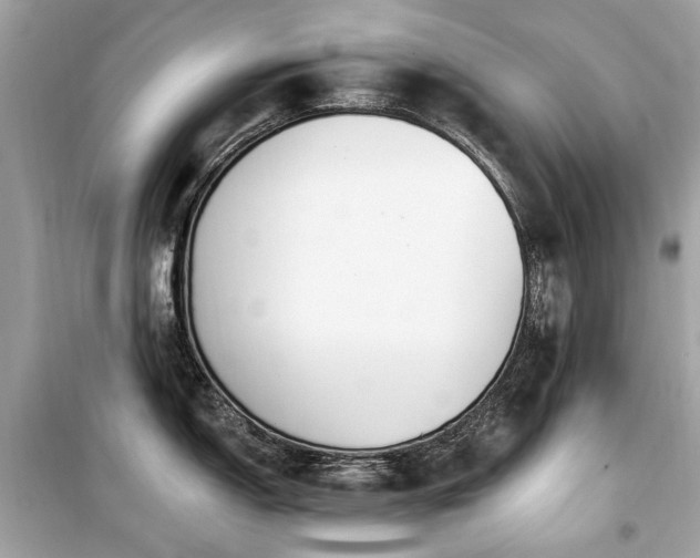 X0000099581150200805161229