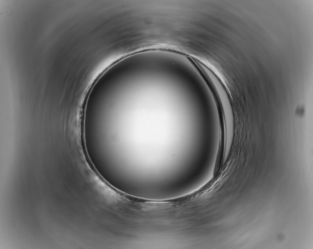 X0000099581151200805161229