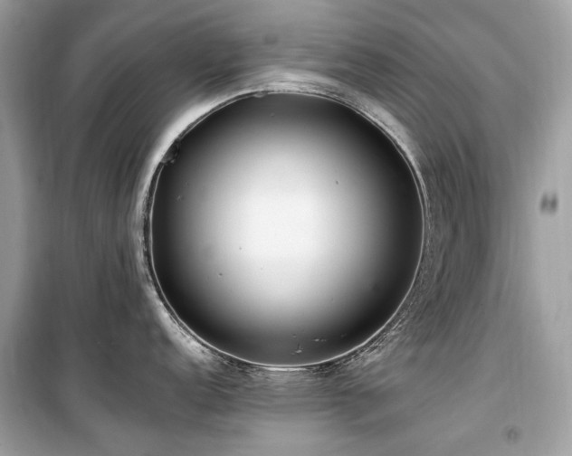 X0000099581152200805161229