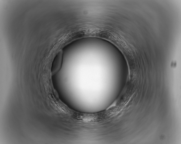 X0000099581153200805161228