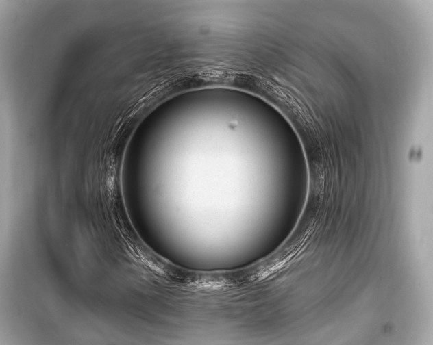 X0000099581154200805161228