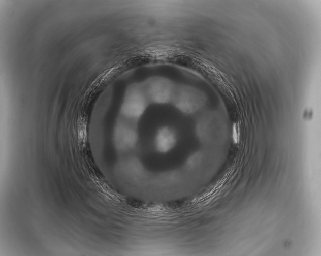 X0000099581155200805161228