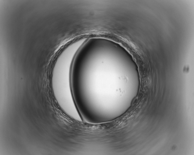 X0000099581160200805161228
