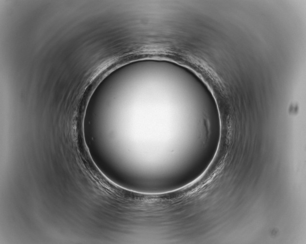 X0000099581162200805161228