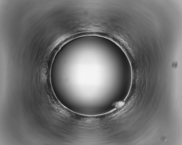 X0000099581163200805161228