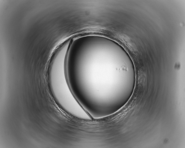 X0000099581164200805161228