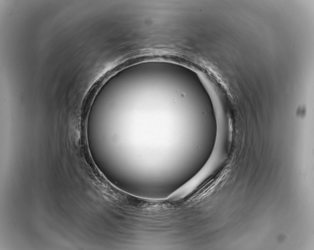X0000099581165200805161228