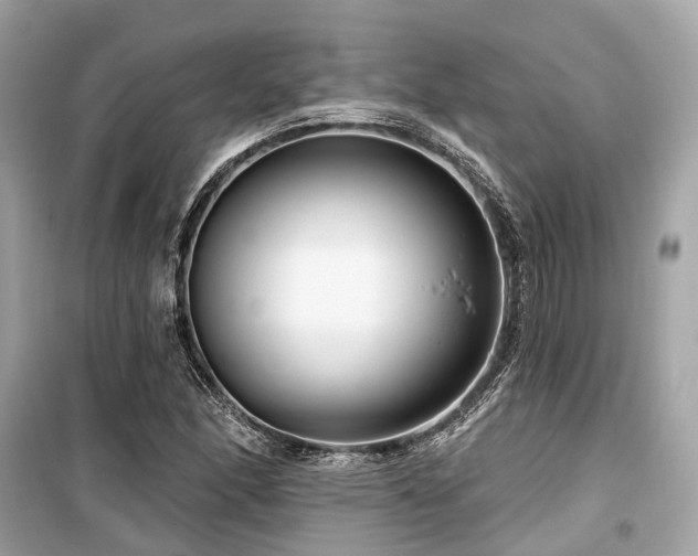 X0000099581166200805161228