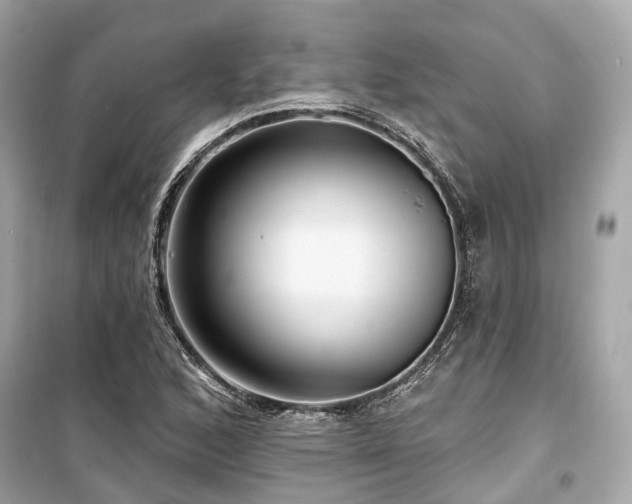X0000099581168200805161228