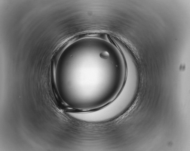 X0000099581169200805161228