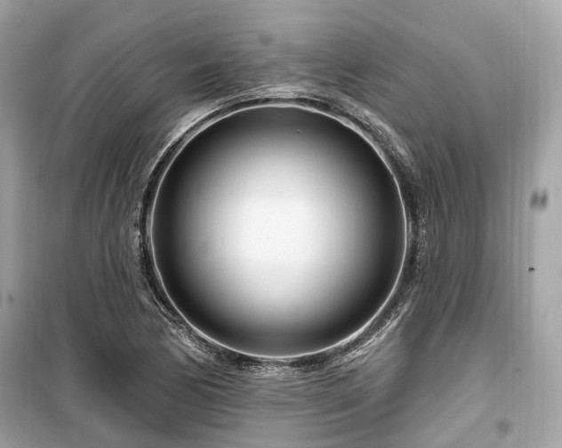 X0000099581170200805161228