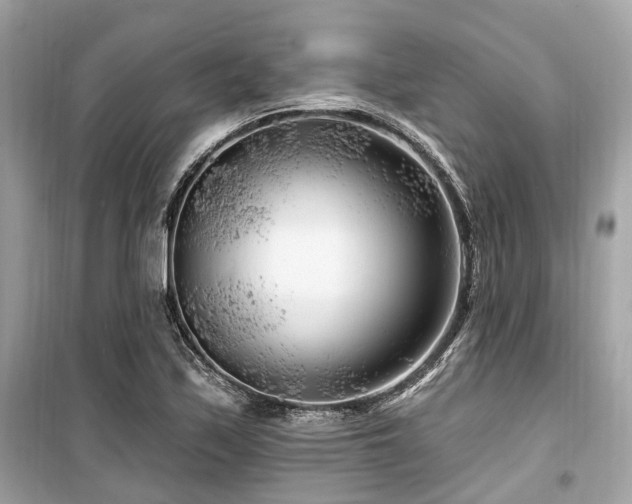 X0000099581171200805161228
