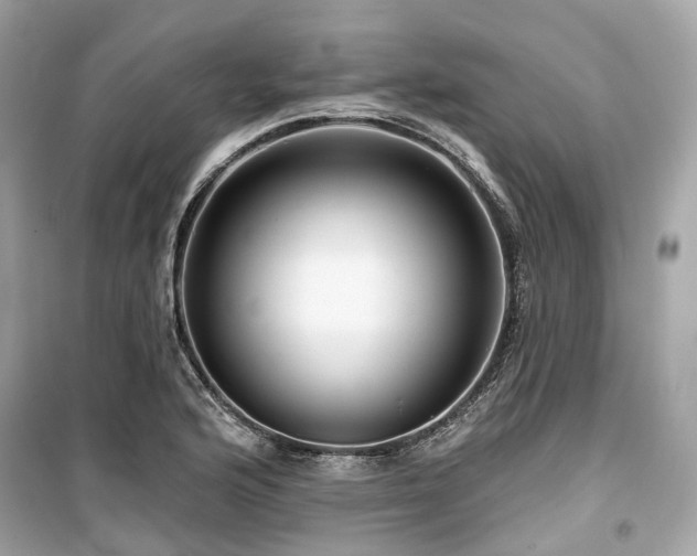 X0000099581176200805161228