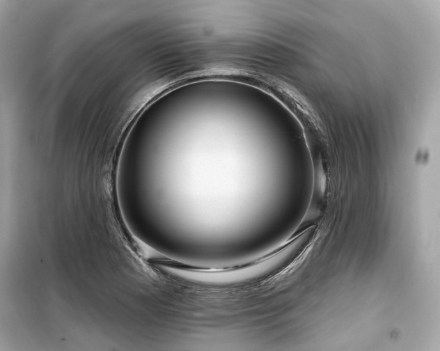 X0000099581177200805161228