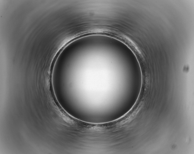 X0000099581178200805161228