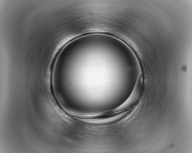 X0000099581179200805161228
