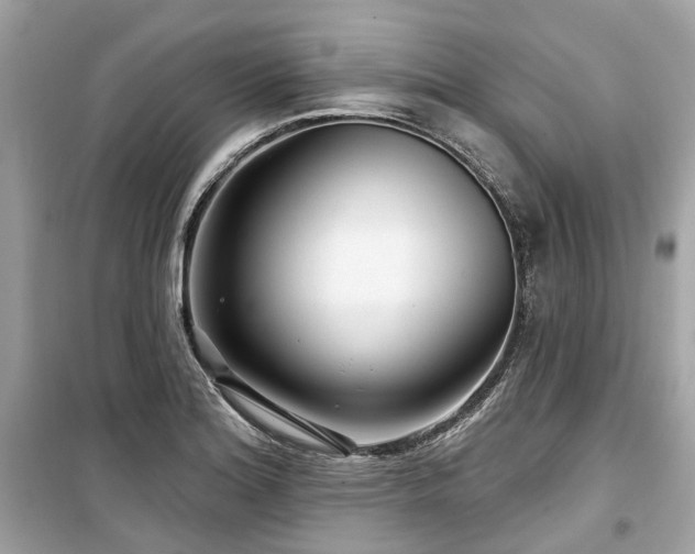 X0000099581180200805161228