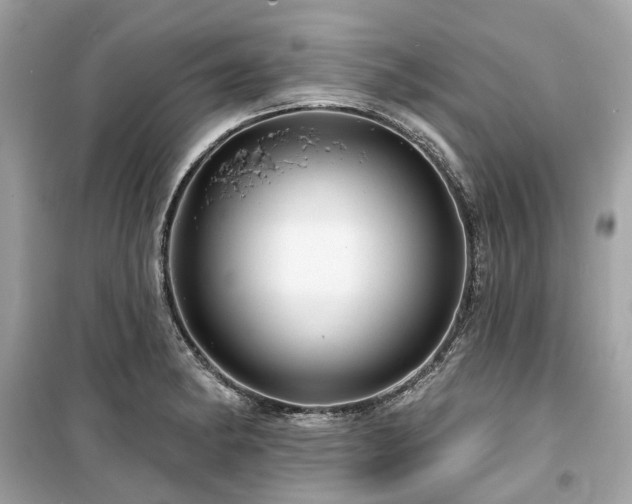 X0000099581182200805161228