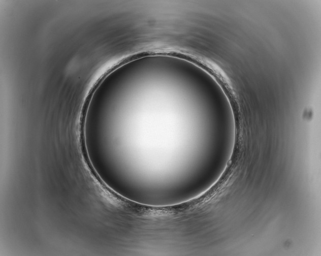 X0000099581183200805161228