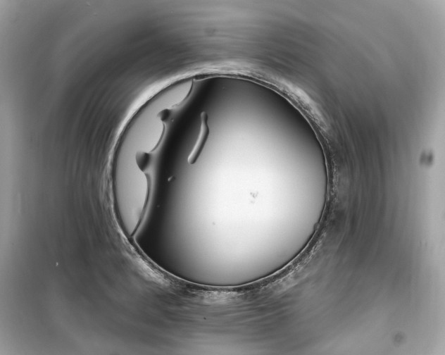 X0000099581184200805161228