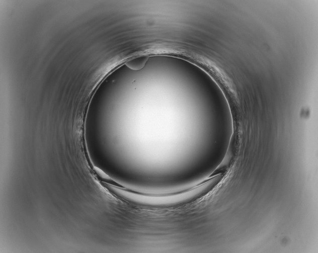 X0000099581185200805161228