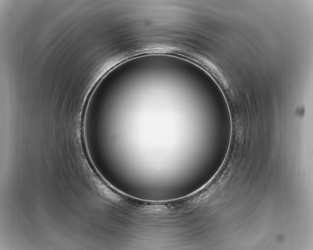 X0000099581186200805161228