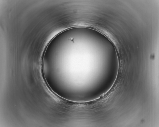X0000099581187200805161228