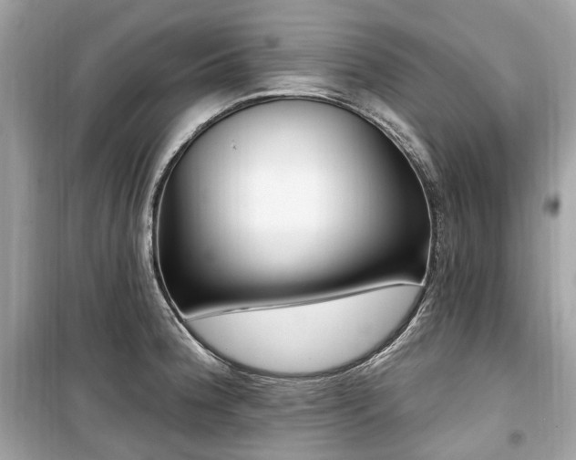 X0000099581188200805161228